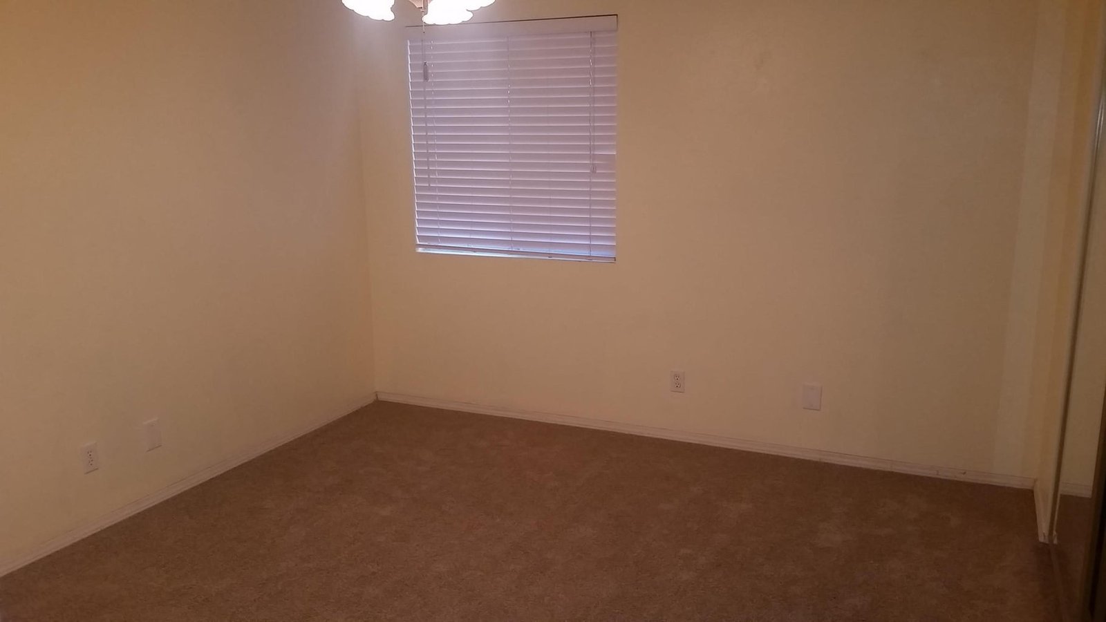 20151117020051748818000000-o