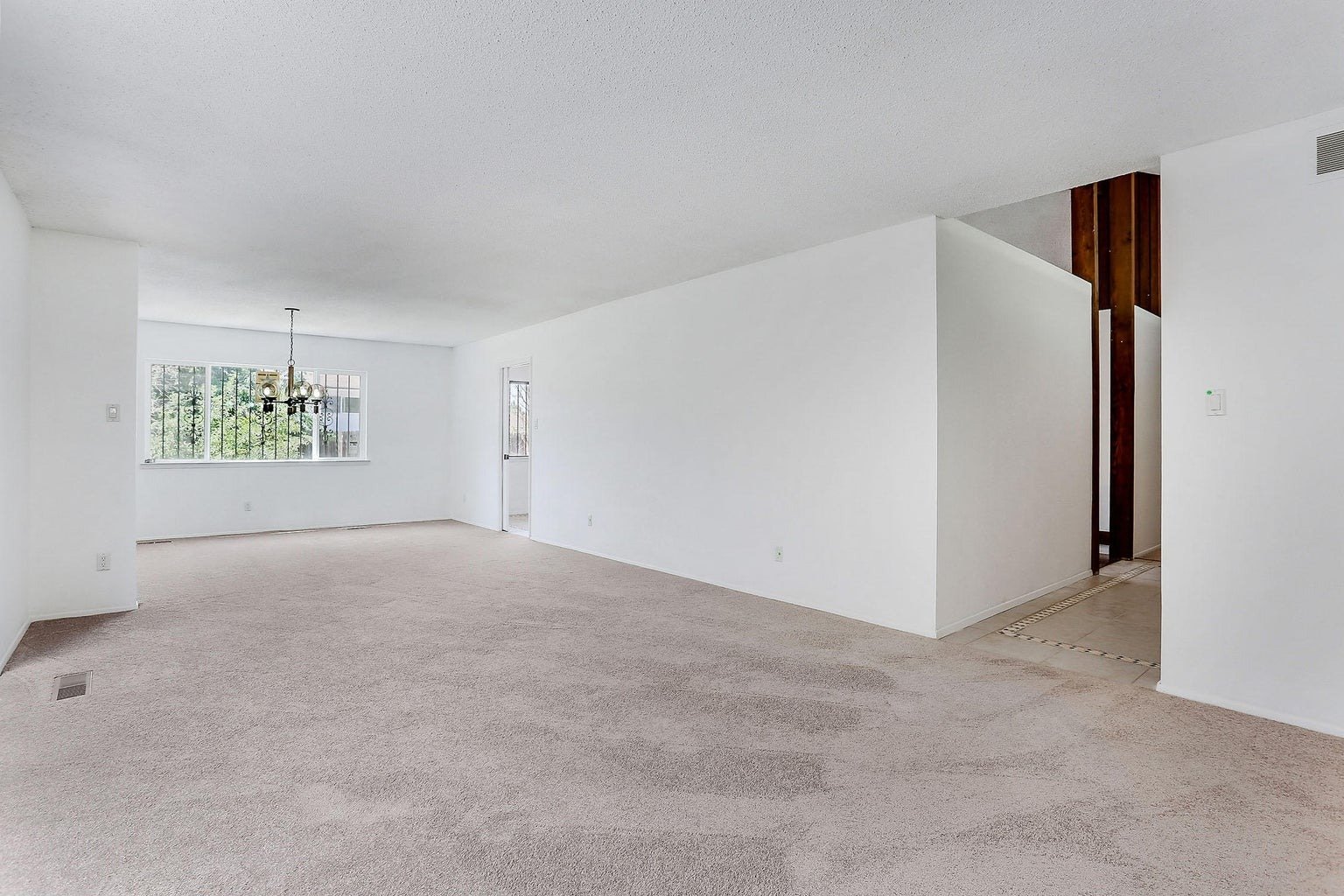 WhatsApp Image 2026-01-14 at 17.11.31 (4)